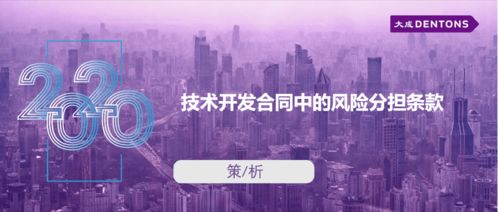 技术开发合同中的风险分担条款