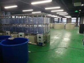 科创组团，引领变革 工业化淡水水产养殖研发中心瞩目而成